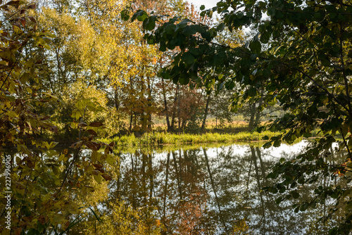 picturesque autumn photo