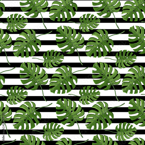 Leaves plant monstera seamless pattern on a striped balck