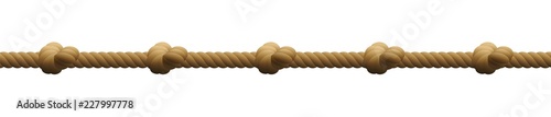 Rope with knots. Isolated vector illustration on white background.