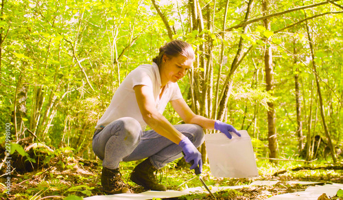 Woman ecologist getting samples of the soil inside the square marking site in the forest. Field work