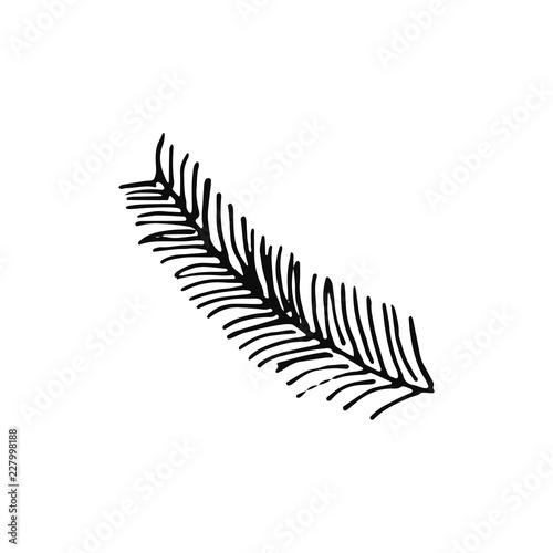 spruce twig icon. sketch isolated object