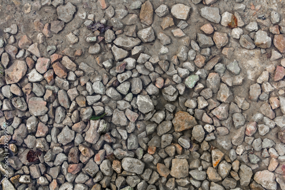 Close up wet stony soil in a fall Close up wet stony soil in a fall