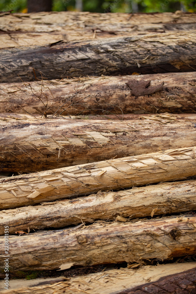Holzstapel Holzstapel