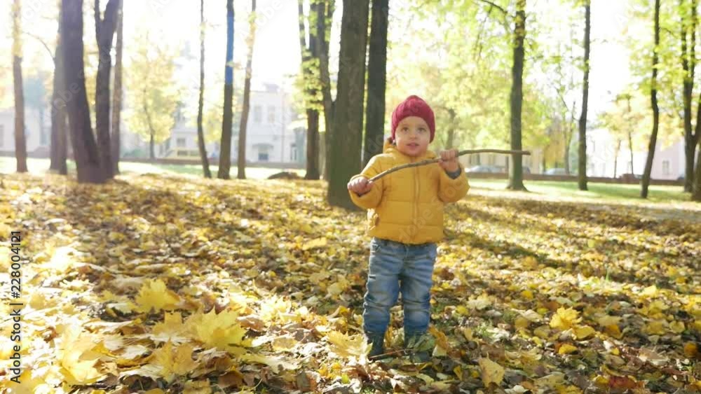 happy little boy playing in Park in autumn in orange leaves happy little boy playing in Park in autumn in orange leaves