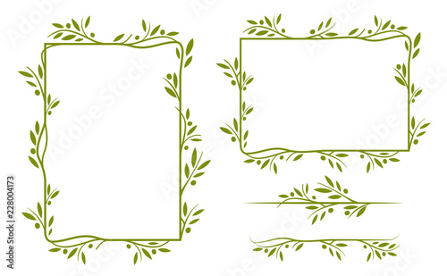 Olive tree border. Vector element. EPS10.