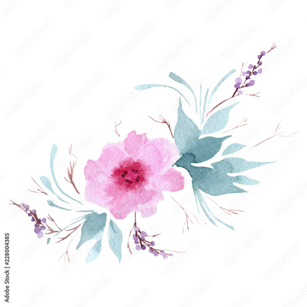 Watercolor tender pink peony flower. Floral botanical flower. Isolated illustration element. Aquarelle wildflower for background, texture, wrapper pattern, frame or border.