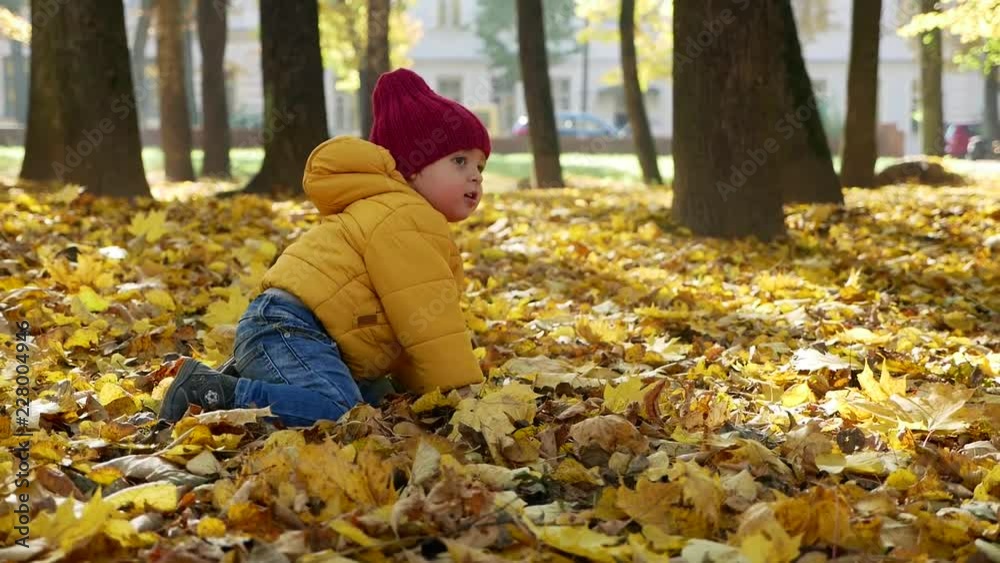 happy little boy playing in Park in autumn in orange leaves happy little boy playing in Park in autumn in orange leaves