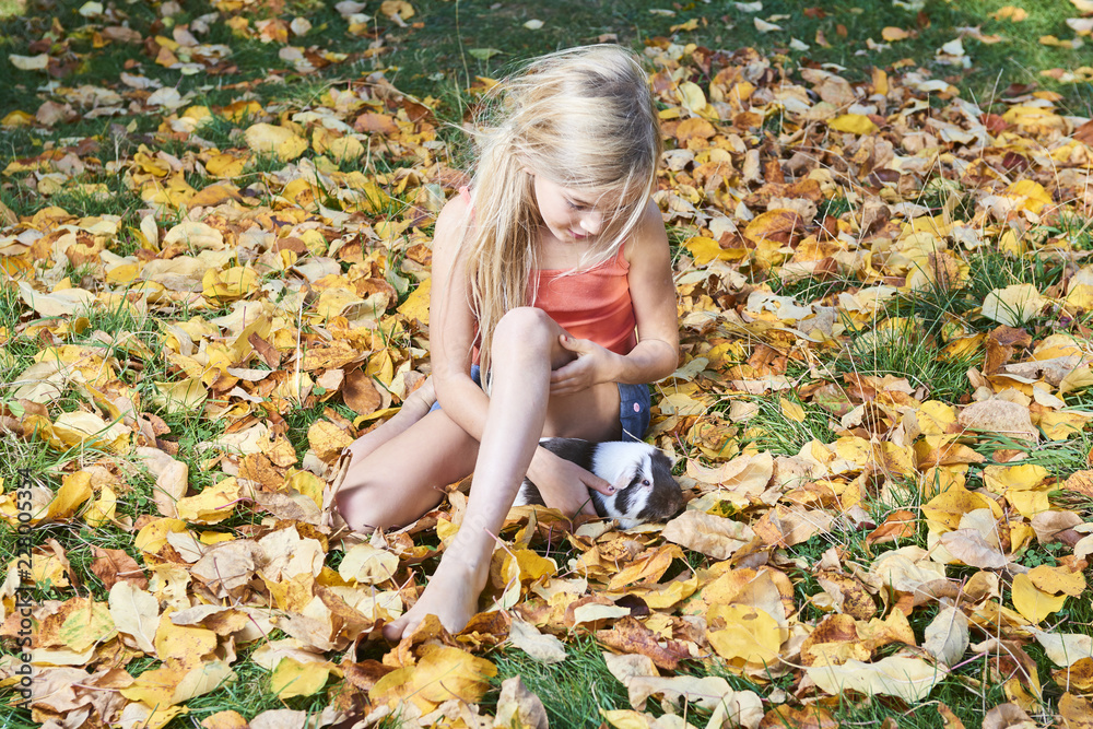 Child cute blond girl playing with a guinea pig in autumn leaves Child cute blond girl playing with a guinea pig in autumn leaves