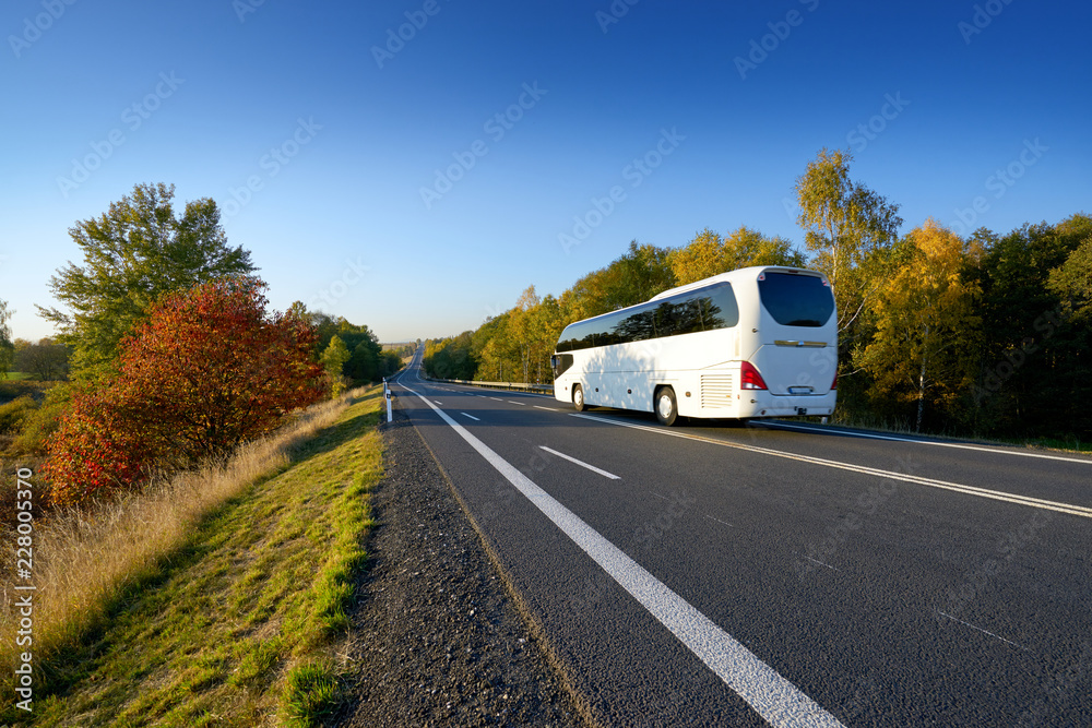 White bus traveling on the road between deciduous trees in autumn colors