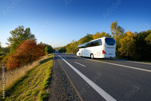 White bus traveling on the road between deciduous trees in autumn colors