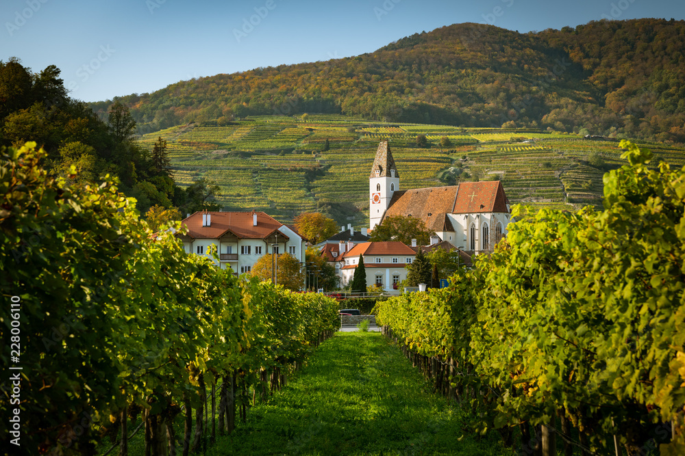 Church of Spitz an der Donau and vineyards on a sunny day in autumn