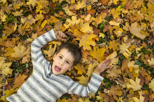 Happy little boy in the autumn park.