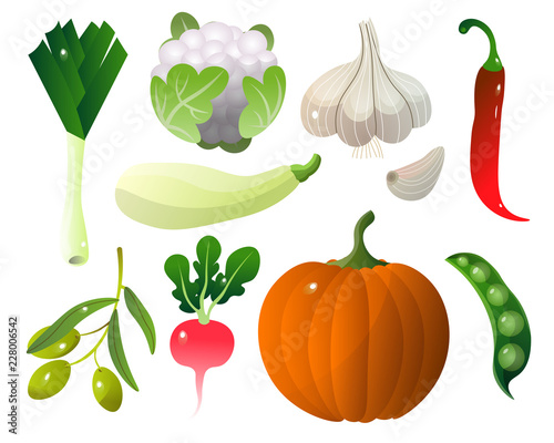 Different vegetables pumpkin zucchini pepper city and stuff.