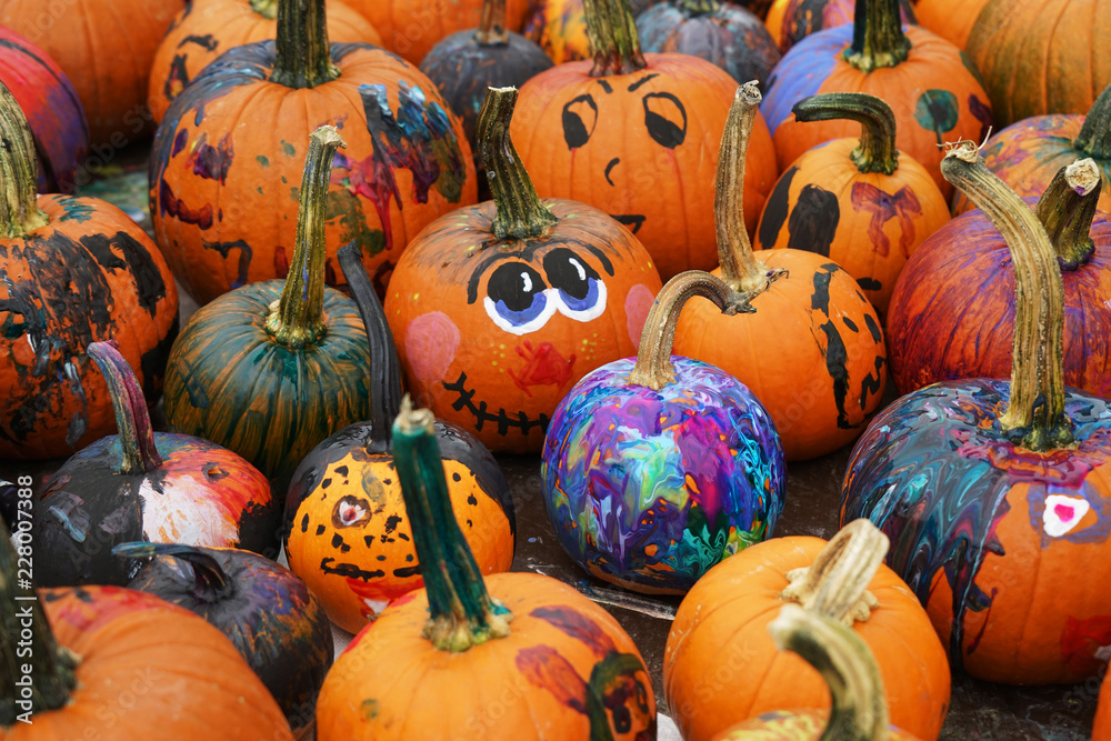 Fototapeta premium group of colorful painted pumpkin for Halloween in autumn