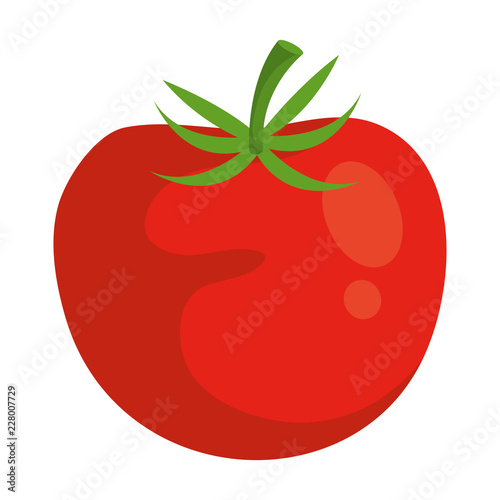 tomato fresh isolated icon