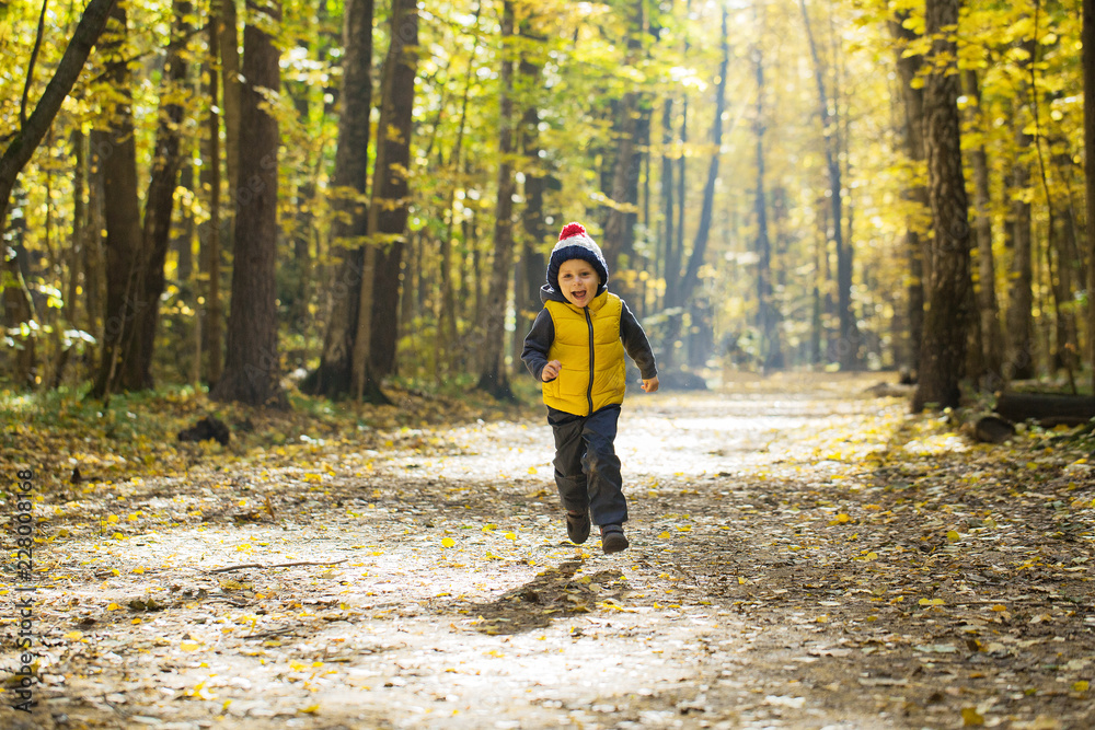 A little boy in a knitted hat with a pompon runs away down the path in the autumn park A little boy in a knitted hat with a pompon runs away down the path in the autumn park