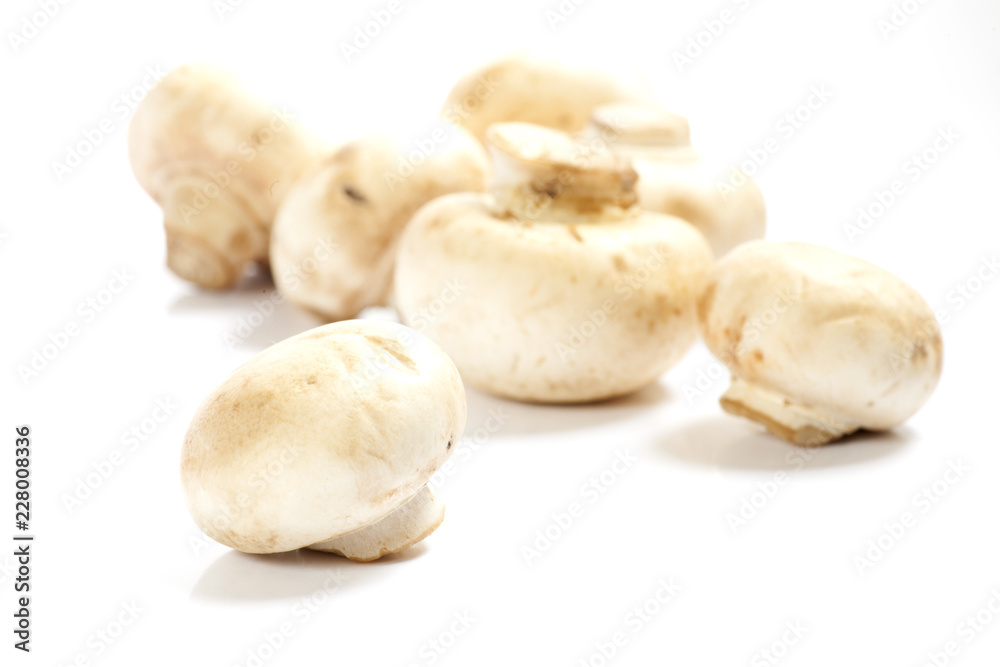 Mushrooms over white background