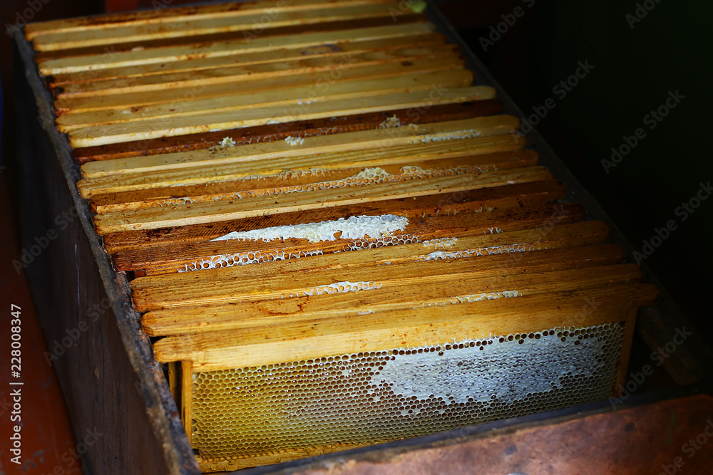 wooden frames with honey in a box. Beeekeeping concept wooden frames with honey in a box. Beeekeeping concept