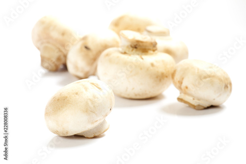 Mushrooms over white background