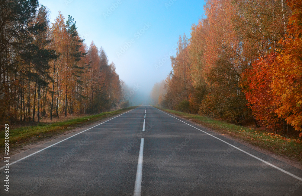 Highway view in early autumn foggy morning