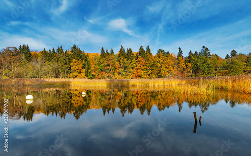 Autumn view of colorful dec...