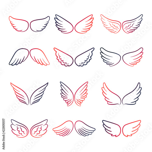 Colorful angels or birds wings line vector set