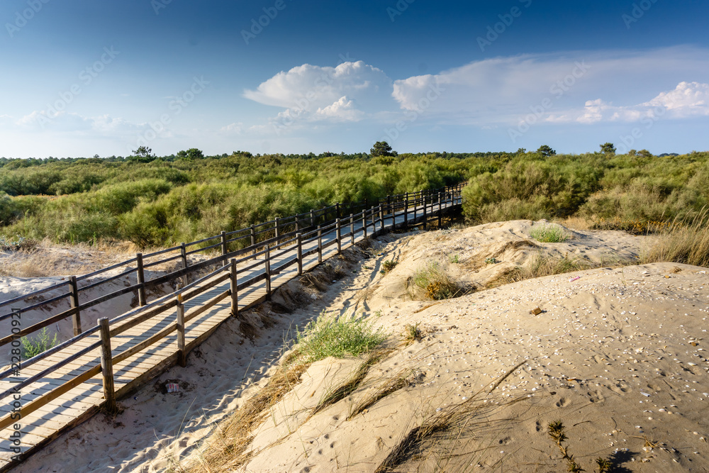 wooden path over dunes to the beach in Vila Real de Santo Antonio, Algarve. Portugal