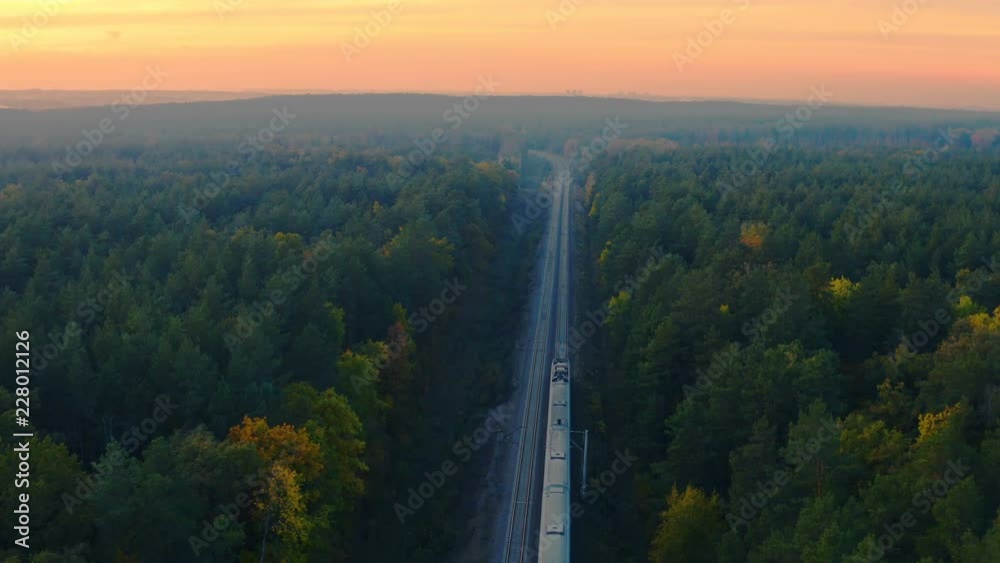 Aerial view of high-speed train moving through the autumn forest at sunset