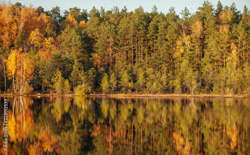 Reflection of trees in water at golden sunset.