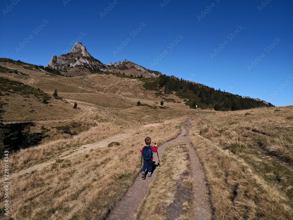 Child with trekking sticks walking on a trail. Amazing mountains landscape during fall season.