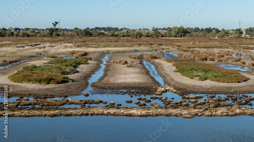 Polder, marais salants de Noirmoutiers photo