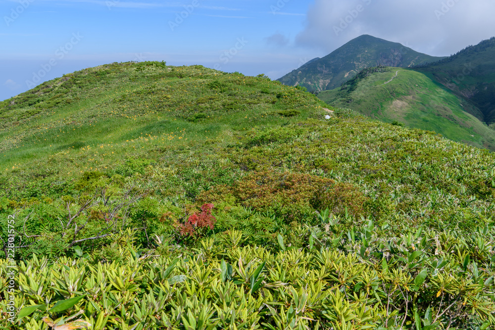 Fototapeta premium ニセ巻機山（前巻機山）から見た割引岳