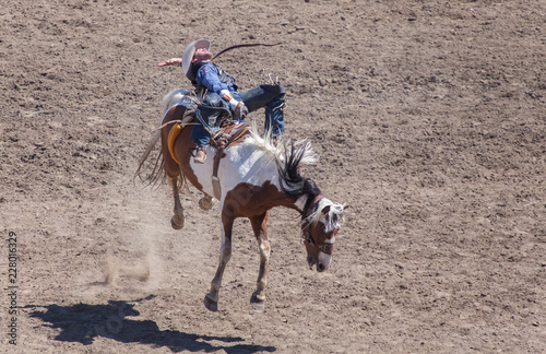 Rodeo Action Bucking Bronco
