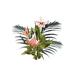 Tropical flowers, palm leaves, jungle leaf, lilies paradise flower.  Hawaiian bouquet for greeting card, wedding, wallpaper.