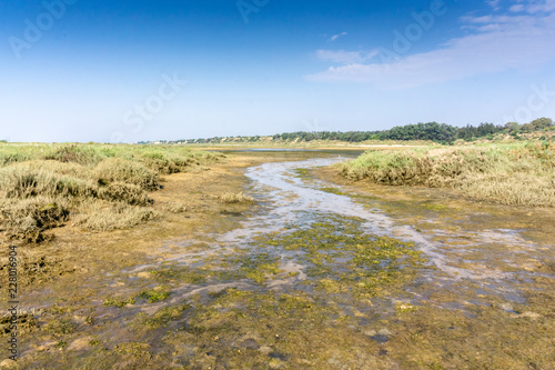 National Park Ria Formosa in Algarve, Portugal