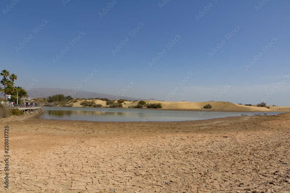 La Charca nature reserve lake next to the sand dunes at Maspalomas