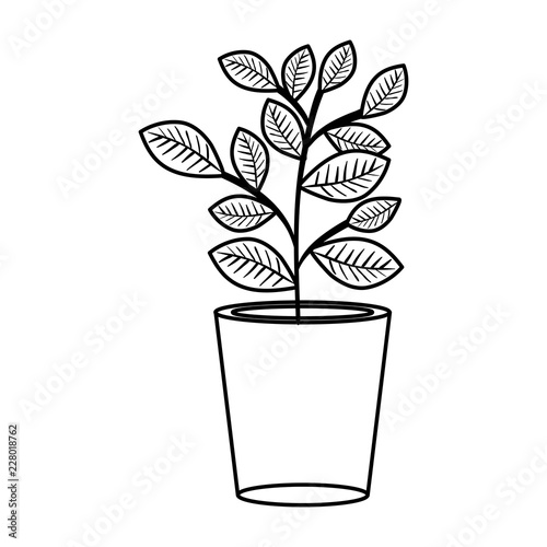 houseplant in pot icon