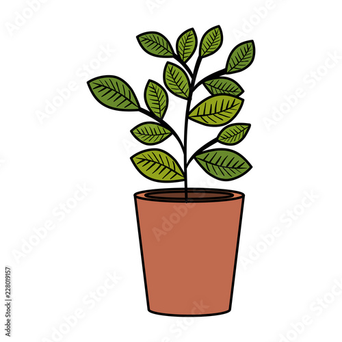 houseplant in pot icon