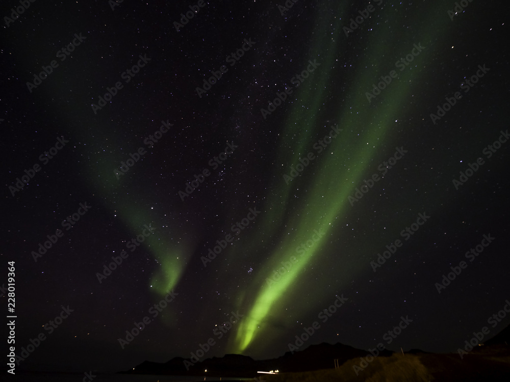 Northern Light dancing across the Icelandic Sky in September