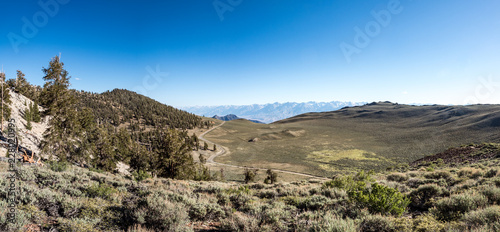 Panorama of Eastern Sierra Mountains from  Ancient Bristlcone Pine Forest, Schulman Grove, near Bishop and Big Pine California. photo
