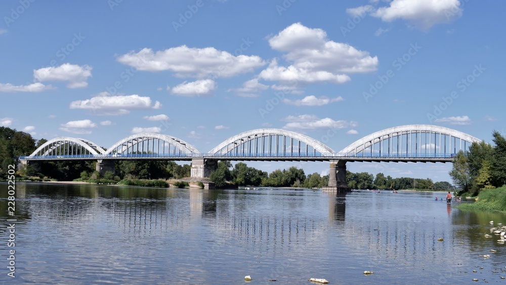 Bridges and the Loire river