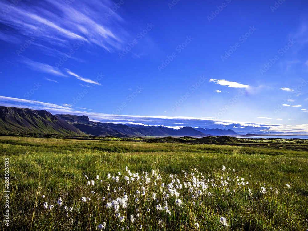 Beautiful scenery near Snaefellsjokull National Park in Eastern Iceland