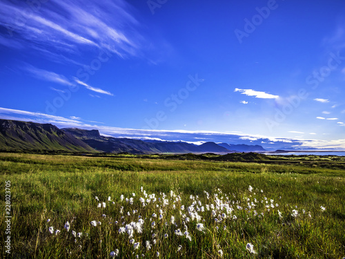 Obraz na płótnie Beautiful scenery near Snaefellsjokull National Park in Eastern Iceland w salonie