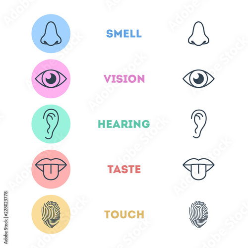 Five types of human sense concept illustration
