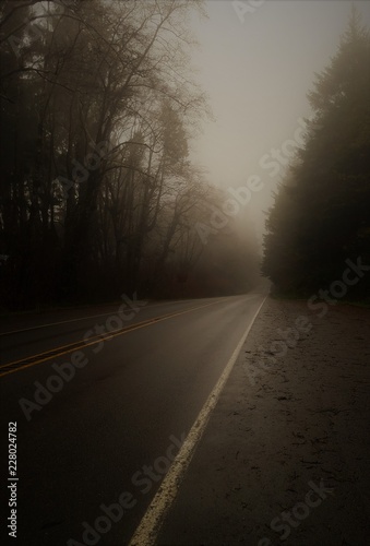 Foggy road © Dana
