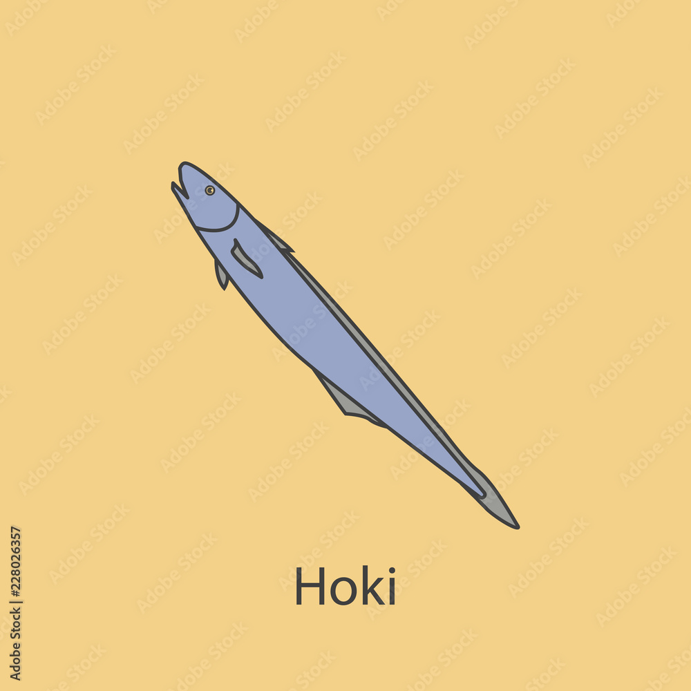 hoki 2 colored line icon. Simple purple and gray element illustration. hoki concept outline symbol design from fish set
