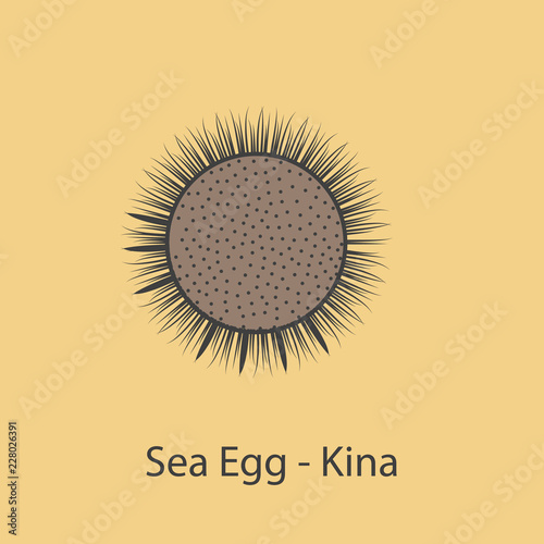 sea egg kina 2 colored line icon. Simple element illustration. sea egg kina concept outline symbol design from fish set