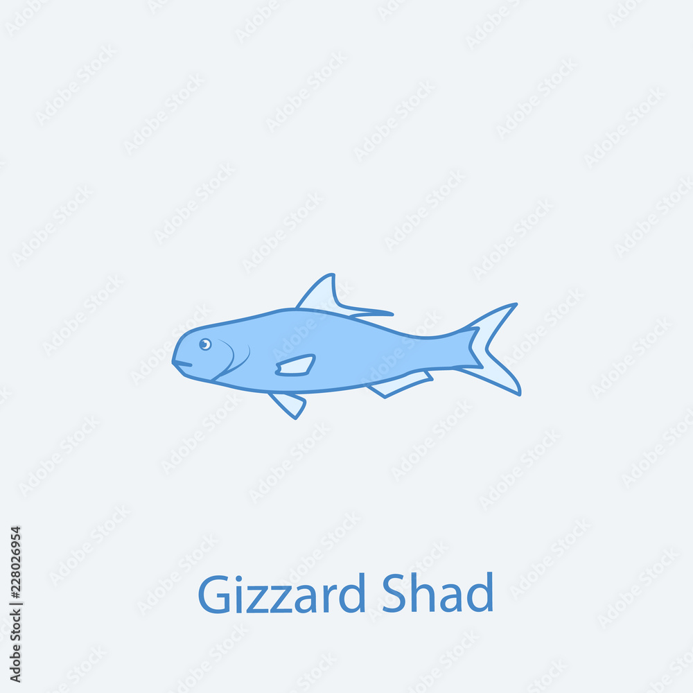 Obraz premium gizzard shad 2 colored line icon. Simple light and dark blue element illustration. gizzard shad concept outline symbol design from fish set