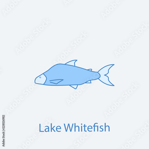 lake whitefish 2 colored line icon. Simple light and dark blue element illustration. lake whitefish concept outline symbol design from fish set