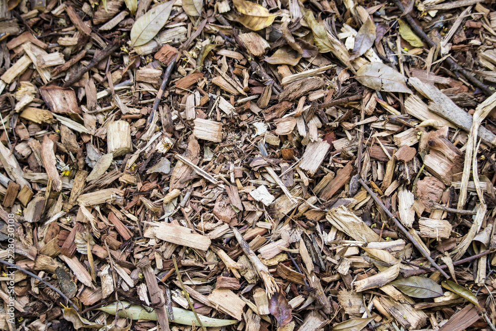 Closeup of a Brown Wood Chip Pile Closeup of a Brown Wood Chip Pile
